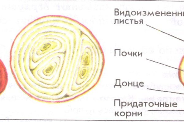 Кракен даркнет слушать