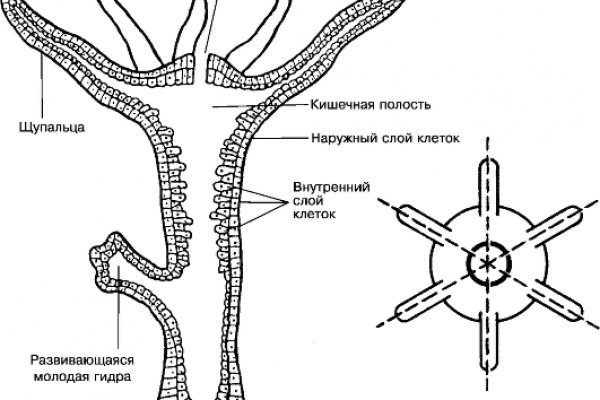 Кракен регистрация